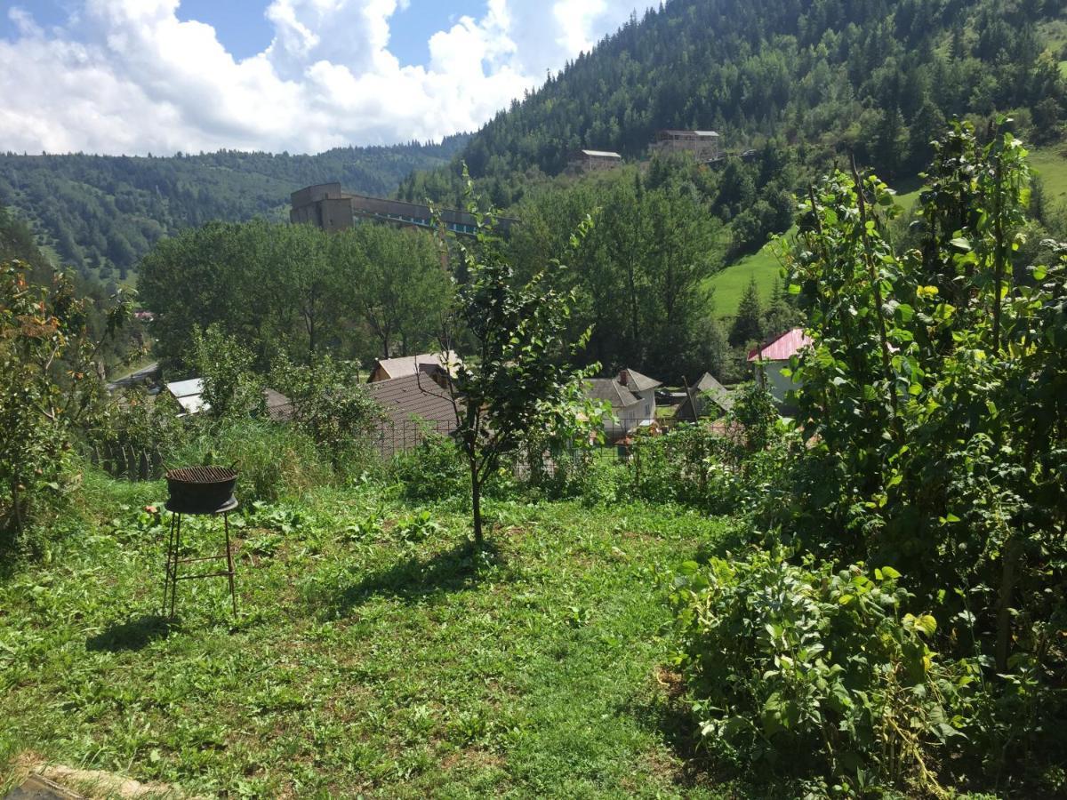 Acasa In Bicaz-Chei - Camere De Inchiriat Cheile Bicazului 외부 사진